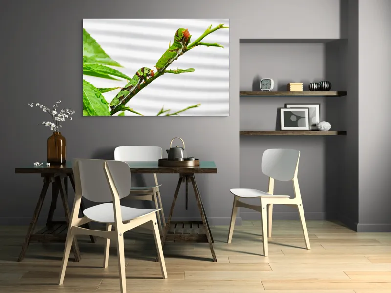 Tablou Canvas, "Omizi verzi pe ramură tânără", Omizi, Verde, Frunză, Ramură, Natură, Detalii, Textură, Gânganie, Antene, Curiozitate, 150 x 100 cm – poza 5
