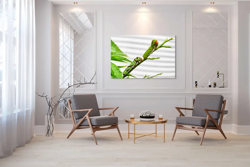 Tablou Canvas, "Omizi verzi pe ramură tânără", Omizi, Verde, Frunză, Ramură, Natură, Detalii, Textură, Gânganie, Antene, Curiozitate, 150 x 100 cm – poza 7