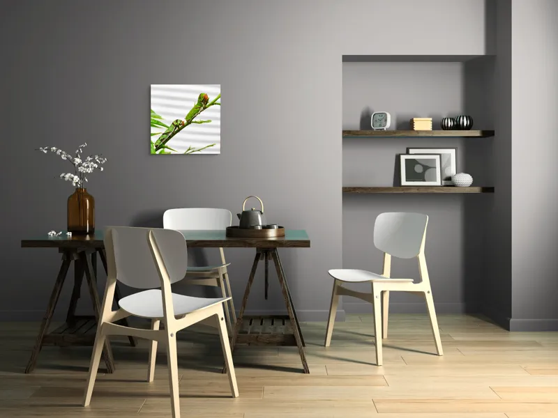 Tablou Canvas, "Omizi verzi pe ramură tânără", Omizi, Verde, Frunză, Ramură, Natură, Detalii, Textură, Gânganie, Antene, Curiozitate, 50 x 50 cm – poza 8
