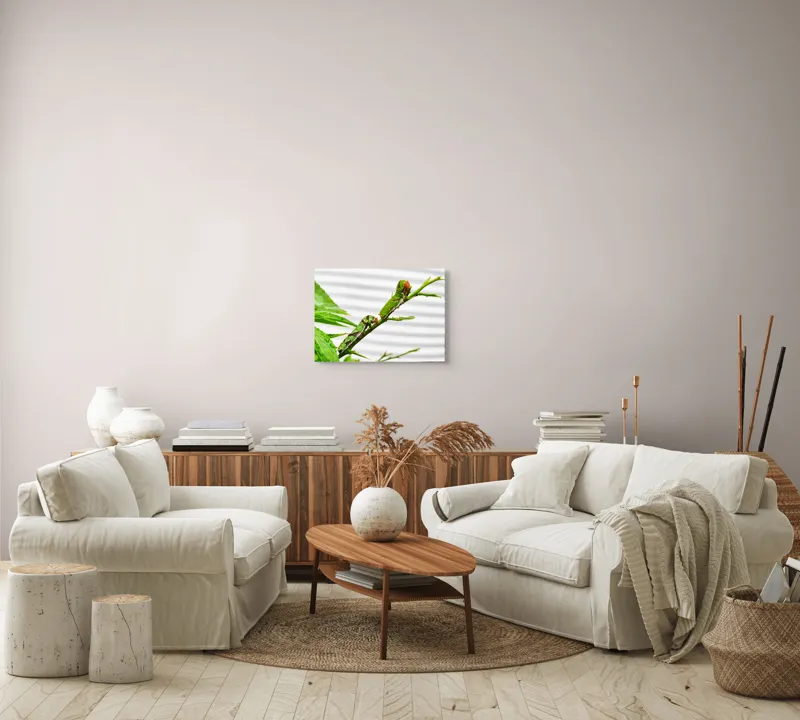 Tablou Canvas, "Omizi verzi pe ramură tânără", Omizi, Verde, Frunză, Ramură, Natură, Detalii, Textură, Gânganie, Antene, Curiozitate, 54 x 39 cm – poza 5