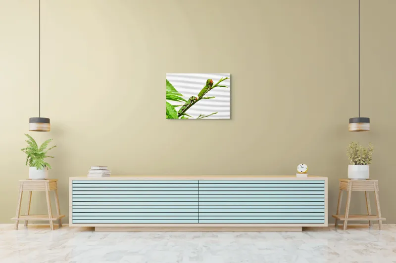 Tablou Canvas, "Omizi verzi pe ramură tânără", Omizi, Verde, Frunză, Ramură, Natură, Detalii, Textură, Gânganie, Antene, Curiozitate, 70 x 50 cm – poza 7