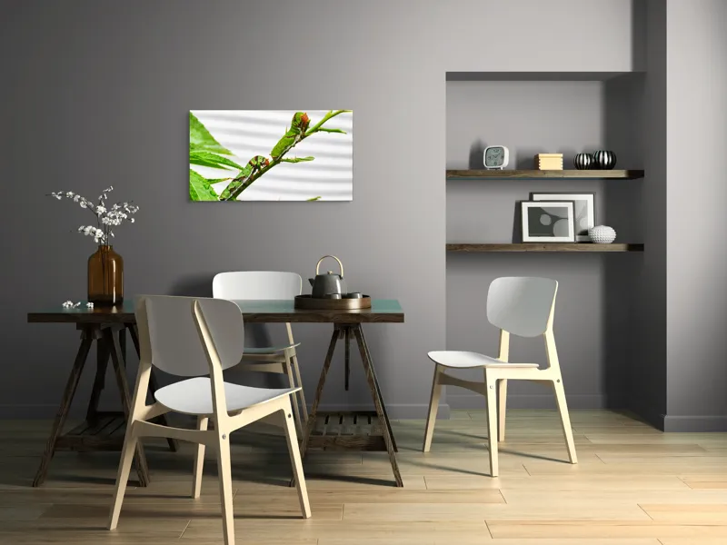 Tablou Canvas, "Omizi verzi pe ramură tânără", Omizi, Verde, Frunză, Ramură, Natură, Detalii, Textură, Gânganie, Antene, Curiozitate, 90 x 50 cm – poza 3