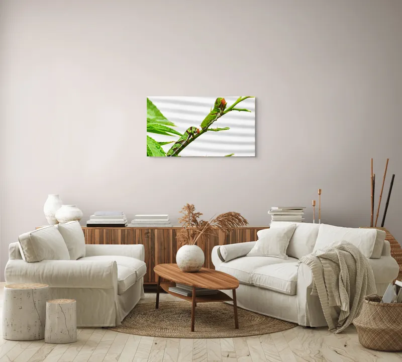 Tablou Canvas, "Omizi verzi pe ramură tânără", Omizi, Verde, Frunză, Ramură, Natură, Detalii, Textură, Gânganie, Antene, Curiozitate, 90 x 50 cm – poza 4