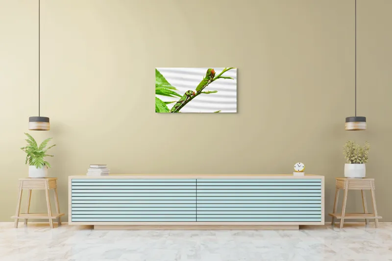 Tablou Canvas, "Omizi verzi pe ramură tânără", Omizi, Verde, Frunză, Ramură, Natură, Detalii, Textură, Gânganie, Antene, Curiozitate, 90 x 50 cm – poza 5