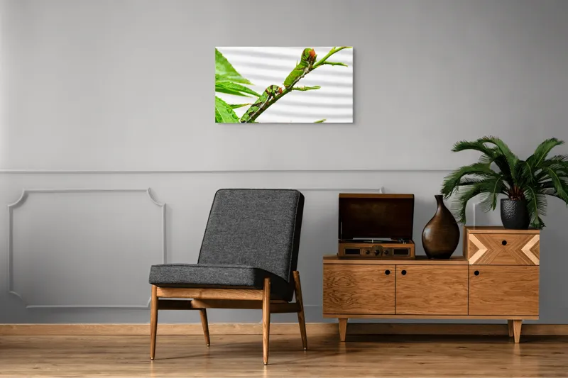Tablou Canvas, "Omizi verzi pe ramură tânără", Omizi, Verde, Frunză, Ramură, Natură, Detalii, Textură, Gânganie, Antene, Curiozitate, 90 x 50 cm – poza 6