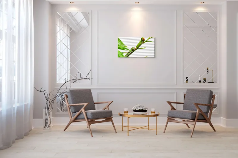 Tablou Canvas, "Omizi verzi pe ramură tânără", Omizi, Verde, Frunză, Ramură, Natură, Detalii, Textură, Gânganie, Antene, Curiozitate, 90 x 50 cm – poza 7