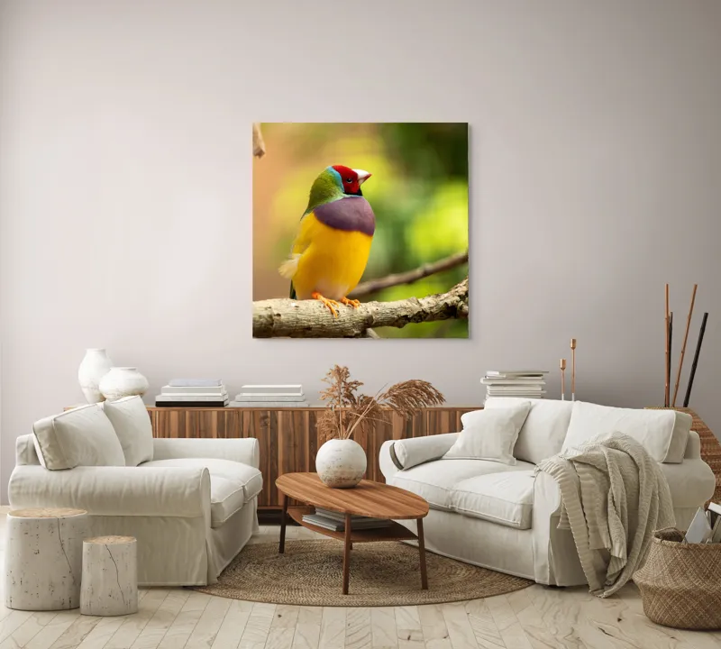 Tablou Canvas, "Pasărea paradis în culori vii", Colorat, Delicat, Exotic, Viu, Mic, Fermecător, Pitoresc, Fragil, Strălucitor, Elegant, 100 x 100 cm – poza 3