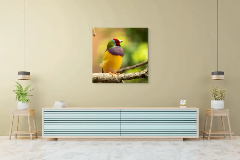 Tablou Canvas, "Pasărea paradis în culori vii", Colorat, Delicat, Exotic, Viu, Mic, Fermecător, Pitoresc, Fragil, Strălucitor, Elegant, 100 x 100 cm – poza 5
