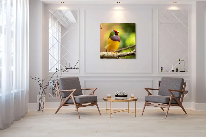 Tablou Canvas, "Pasărea paradis în culori vii", Colorat, Delicat, Exotic, Viu, Mic, Fermecător, Pitoresc, Fragil, Strălucitor, Elegant, 100 x 100 cm – poza 7