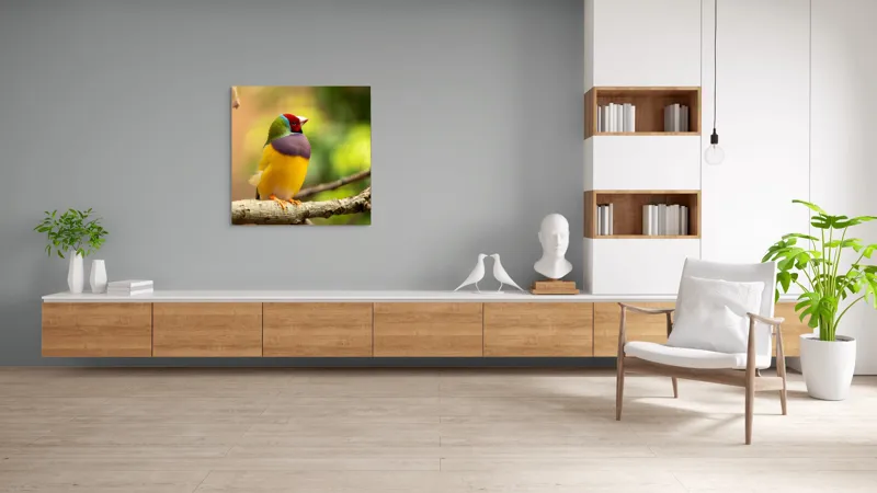 Tablou Canvas, "Pasărea paradis în culori vii", Colorat, Delicat, Exotic, Viu, Mic, Fermecător, Pitoresc, Fragil, Strălucitor, Elegant, 100 x 100 cm – poza 8