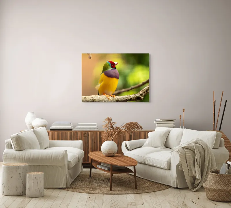 Tablou Canvas, "Pasărea paradis în culori vii", Colorat, Delicat, Exotic, Viu, Mic, Fermecător, Pitoresc, Fragil, Strălucitor, Elegant, 100 x 70 cm – poza 3