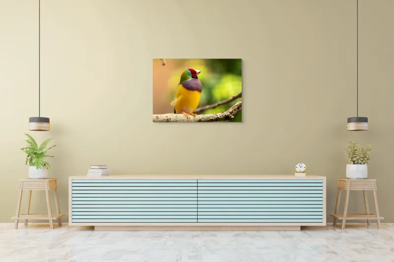 Tablou Canvas, "Pasărea paradis în culori vii", Colorat, Delicat, Exotic, Viu, Mic, Fermecător, Pitoresc, Fragil, Strălucitor, Elegant, 100 x 70 cm – poza 4