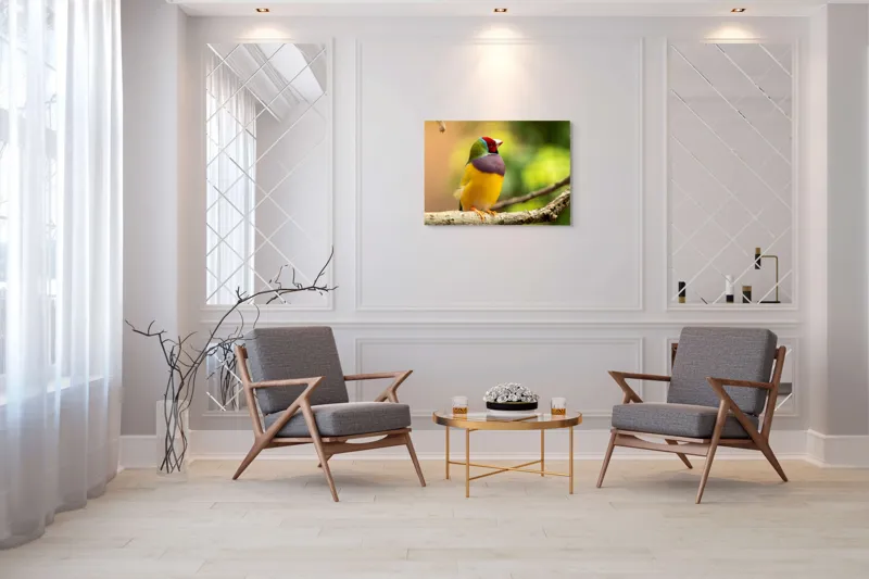 Tablou Canvas, "Pasărea paradis în culori vii", Colorat, Delicat, Exotic, Viu, Mic, Fermecător, Pitoresc, Fragil, Strălucitor, Elegant, 100 x 70 cm – poza 5