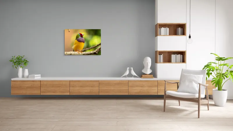 Tablou Canvas, "Pasărea paradis în culori vii", Colorat, Delicat, Exotic, Viu, Mic, Fermecător, Pitoresc, Fragil, Strălucitor, Elegant, 100 x 70 cm – poza 6
