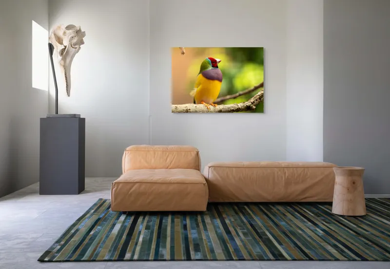 Tablou Canvas, "Pasărea paradis în culori vii", Colorat, Delicat, Exotic, Viu, Mic, Fermecător, Pitoresc, Fragil, Strălucitor, Elegant, 100 x 70 cm – poza 7
