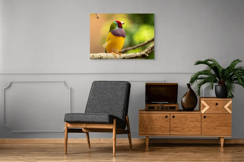 Tablou Canvas, "Pasărea paradis în culori vii", Colorat, Delicat, Exotic, Viu, Mic, Fermecător, Pitoresc, Fragil, Strălucitor, Elegant, 100 x 70 cm – poza 8