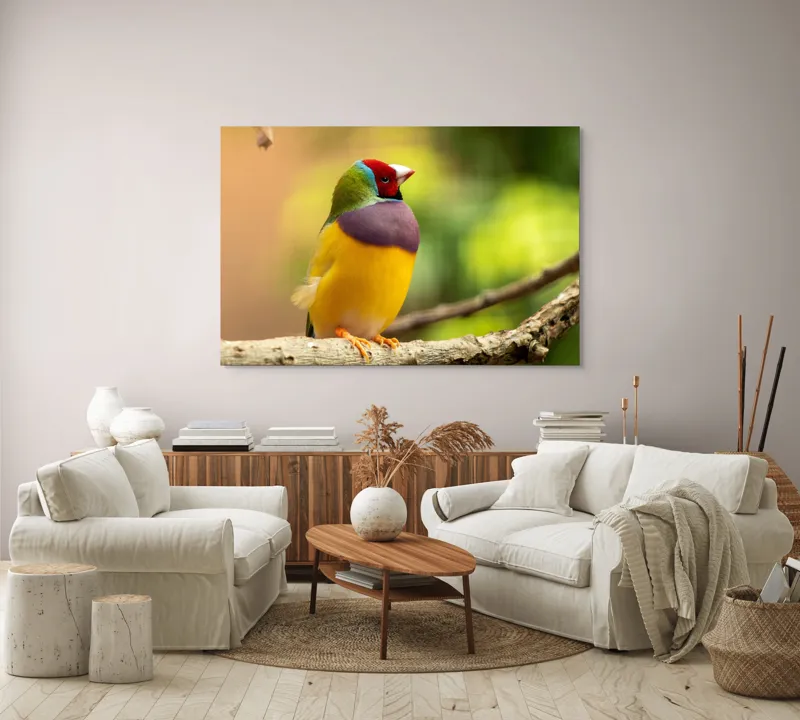 Tablou Canvas, "Pasărea paradis în culori vii", Colorat, Delicat, Exotic, Viu, Mic, Fermecător, Pitoresc, Fragil, Strălucitor, Elegant, 150 x 100 cm – poza 3