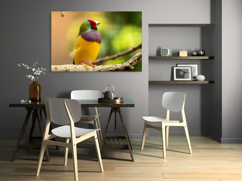 Tablou Canvas, "Pasărea paradis în culori vii", Colorat, Delicat, Exotic, Viu, Mic, Fermecător, Pitoresc, Fragil, Strălucitor, Elegant, 150 x 100 cm – poza 5