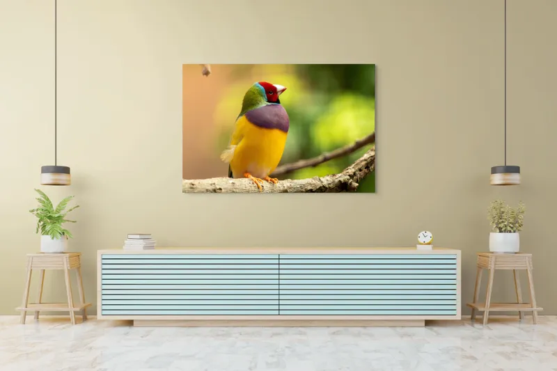 Tablou Canvas, "Pasărea paradis în culori vii", Colorat, Delicat, Exotic, Viu, Mic, Fermecător, Pitoresc, Fragil, Strălucitor, Elegant, 150 x 100 cm – poza 6