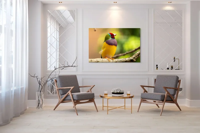 Tablou Canvas, "Pasărea paradis în culori vii", Colorat, Delicat, Exotic, Viu, Mic, Fermecător, Pitoresc, Fragil, Strălucitor, Elegant, 150 x 100 cm – poza 7