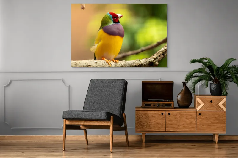 Tablou Canvas, "Pasărea paradis în culori vii", Colorat, Delicat, Exotic, Viu, Mic, Fermecător, Pitoresc, Fragil, Strălucitor, Elegant, 150 x 100 cm – poza 8