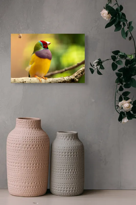 Tablou Canvas, "Pasărea paradis în culori vii", Colorat, Delicat, Exotic, Viu, Mic, Fermecător, Pitoresc, Fragil, Strălucitor, Elegant, 39 x 26 cm – poza 4