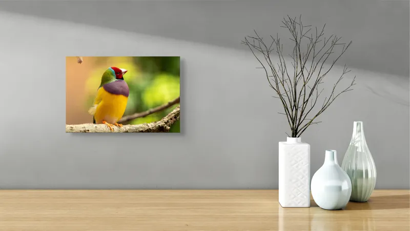 Tablou Canvas, "Pasărea paradis în culori vii", Colorat, Delicat, Exotic, Viu, Mic, Fermecător, Pitoresc, Fragil, Strălucitor, Elegant, 39 x 26 cm – poza 8