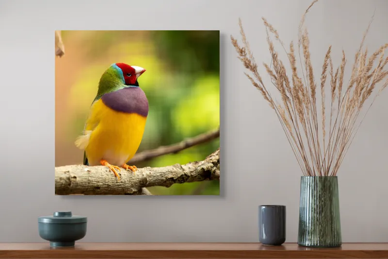 Tablou Canvas, "Pasărea paradis în culori vii", Colorat, Delicat, Exotic, Viu, Mic, Fermecător, Pitoresc, Fragil, Strălucitor, Elegant, 50 x 50 cm – poza 4