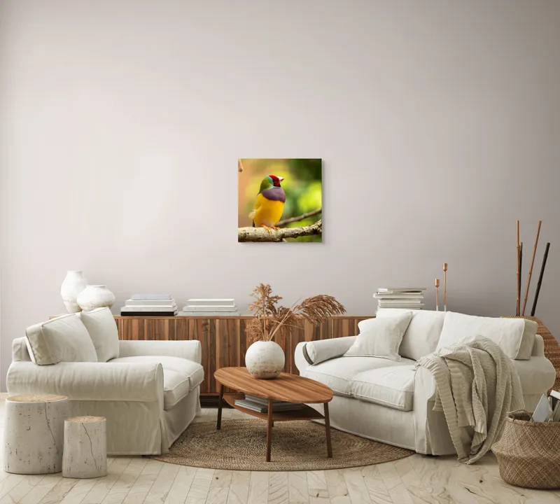 Tablou Canvas, "Pasărea paradis în culori vii", Colorat, Delicat, Exotic, Viu, Mic, Fermecător, Pitoresc, Fragil, Strălucitor, Elegant, 50 x 50 cm – poza 7