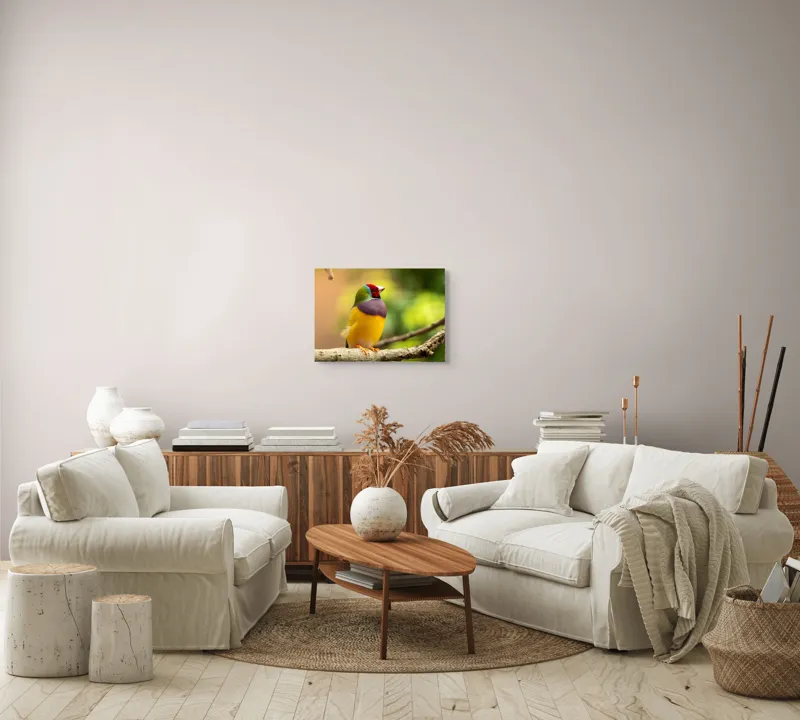 Tablou Canvas, "Pasărea paradis în culori vii", Colorat, Delicat, Exotic, Viu, Mic, Fermecător, Pitoresc, Fragil, Strălucitor, Elegant, 54 x 39 cm – poza 5