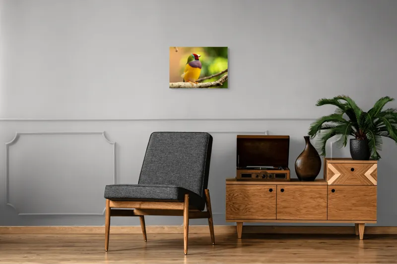 Tablou Canvas, "Pasărea paradis în culori vii", Colorat, Delicat, Exotic, Viu, Mic, Fermecător, Pitoresc, Fragil, Strălucitor, Elegant, 54 x 39 cm – poza 7