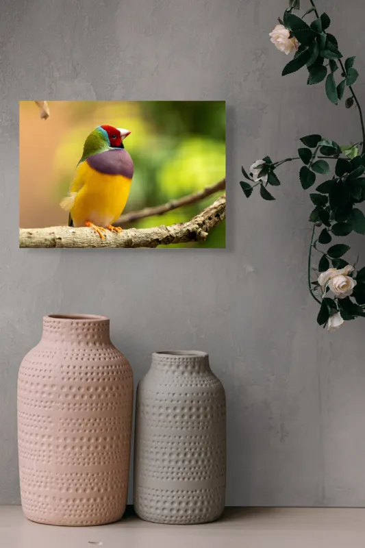 Tablou Canvas, "Pasărea paradis în culori vii", Colorat, Delicat, Exotic, Viu, Mic, Fermecător, Pitoresc, Fragil, Strălucitor, Elegant, 54 x 39 cm – poza 8