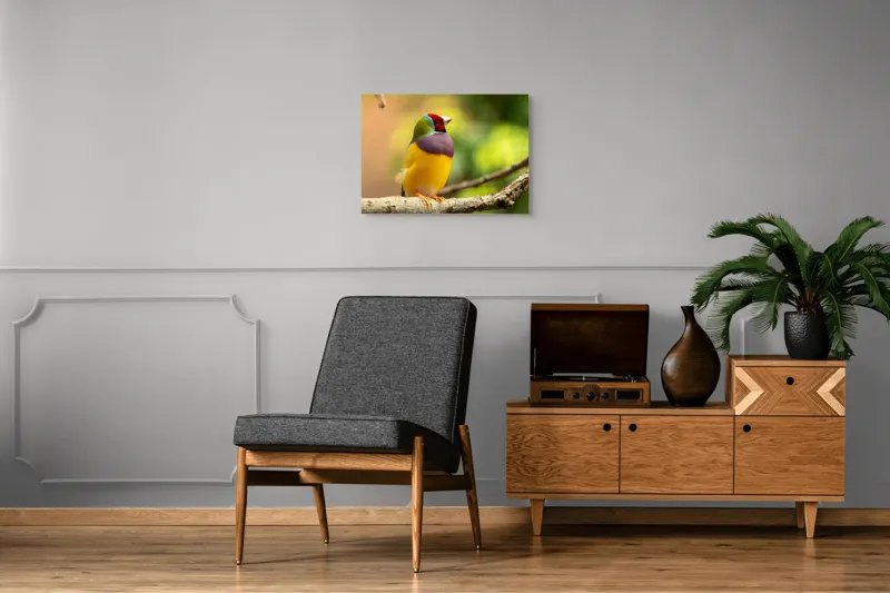 Tablou Canvas, "Pasărea paradis în culori vii", Colorat, Delicat, Exotic, Viu, Mic, Fermecător, Pitoresc, Fragil, Strălucitor, Elegant, 70 x 50 cm – poza 4