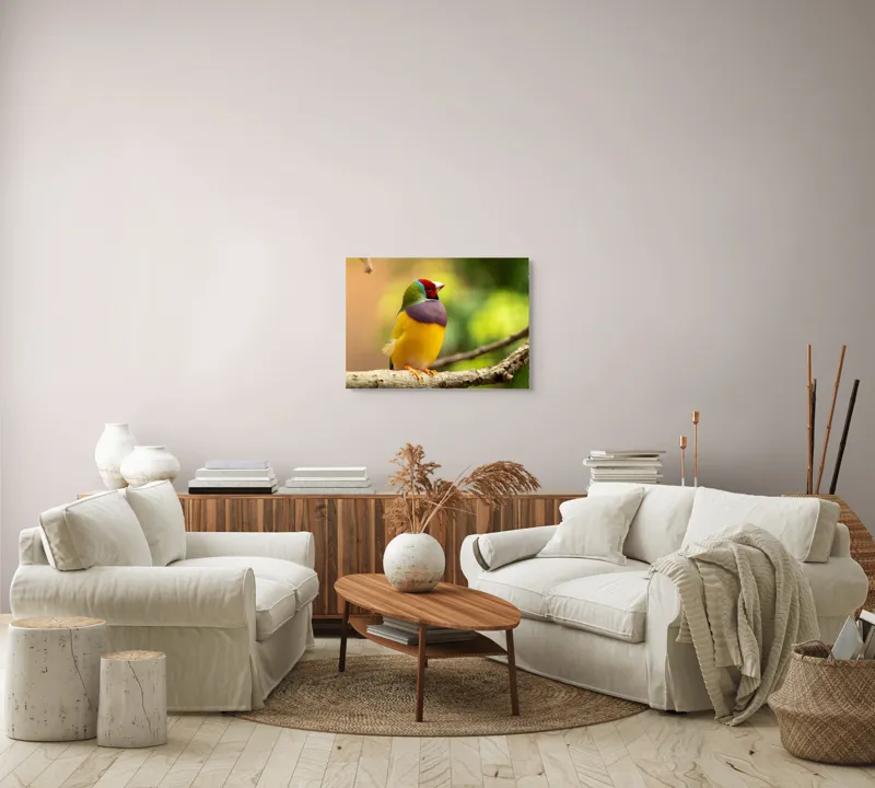 Tablou Canvas, "Pasărea paradis în culori vii", Colorat, Delicat, Exotic, Viu, Mic, Fermecător, Pitoresc, Fragil, Strălucitor, Elegant, 70 x 50 cm – poza 6