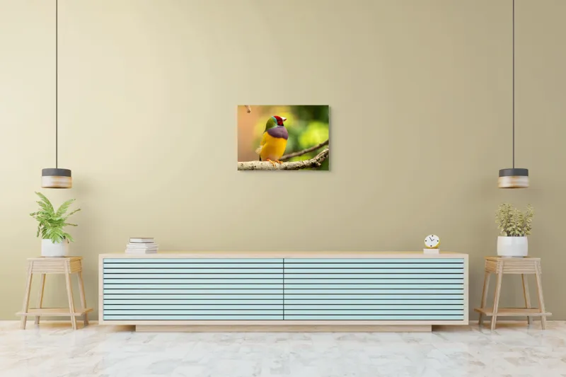 Tablou Canvas, "Pasărea paradis în culori vii", Colorat, Delicat, Exotic, Viu, Mic, Fermecător, Pitoresc, Fragil, Strălucitor, Elegant, 70 x 50 cm – poza 7
