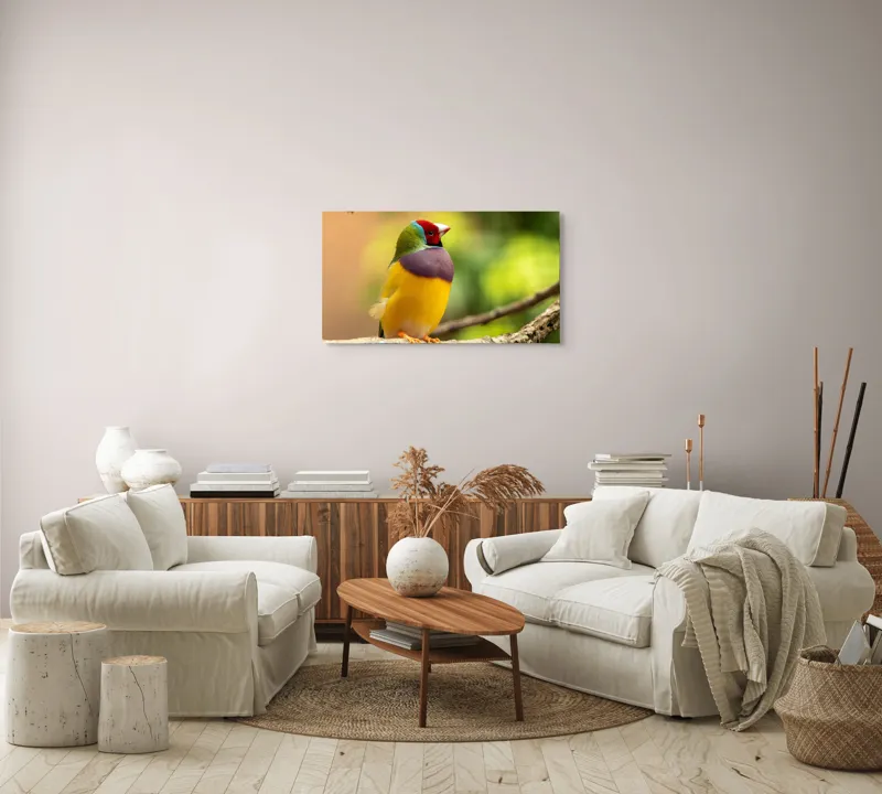 Tablou Canvas, "Pasărea paradis în culori vii", Colorat, Delicat, Exotic, Viu, Mic, Fermecător, Pitoresc, Fragil, Strălucitor, Elegant, 90 x 50 cm – poza 4