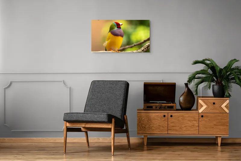 Tablou Canvas, "Pasărea paradis în culori vii", Colorat, Delicat, Exotic, Viu, Mic, Fermecător, Pitoresc, Fragil, Strălucitor, Elegant, 90 x 50 cm – poza 6