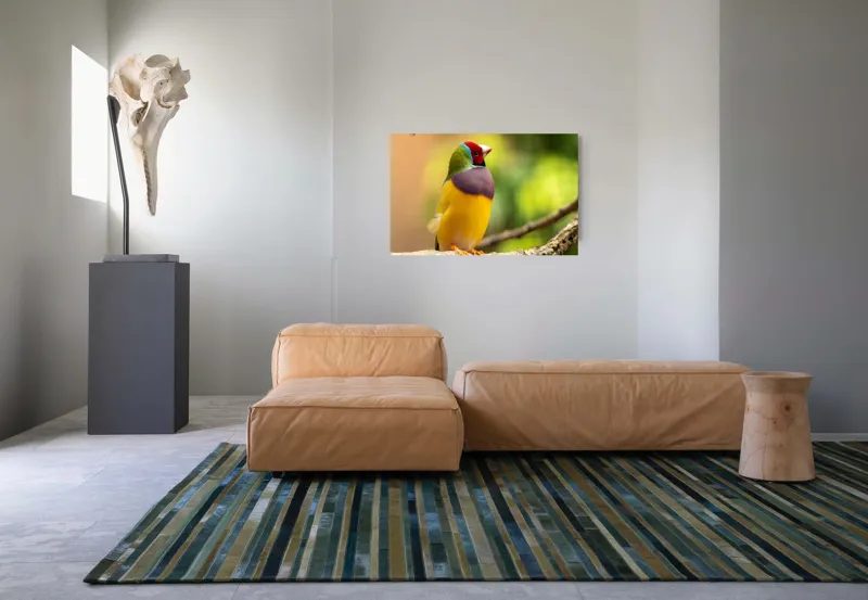 Tablou Canvas, "Pasărea paradis în culori vii", Colorat, Delicat, Exotic, Viu, Mic, Fermecător, Pitoresc, Fragil, Strălucitor, Elegant, 90 x 50 cm – poza 8