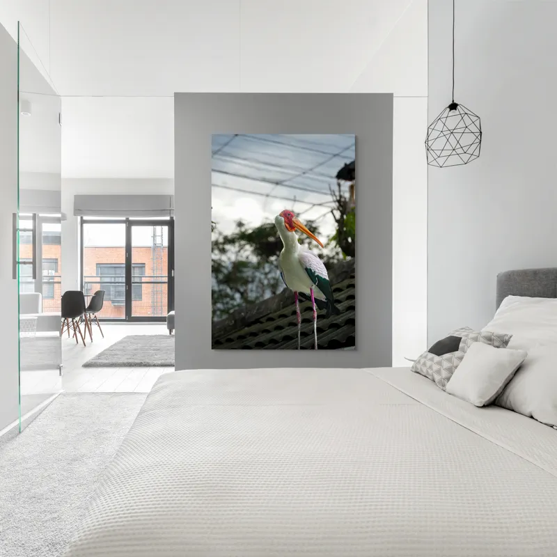Tablou Canvas, "Surprinderea unui stork sub cer înnorat", Păsăre, Penaj, Culori, Cer, Natură, Acoperiș, Plante, Storc, Peisaj, 100 x 150 cm – poza 5