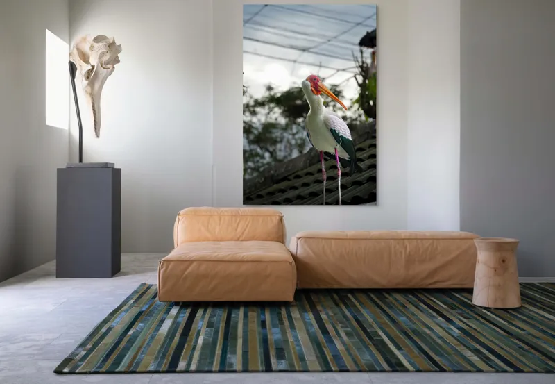 Tablou Canvas, "Surprinderea unui stork sub cer înnorat", Păsăre, Penaj, Culori, Cer, Natură, Acoperiș, Plante, Storc, Peisaj, 100 x 150 cm – poza 7