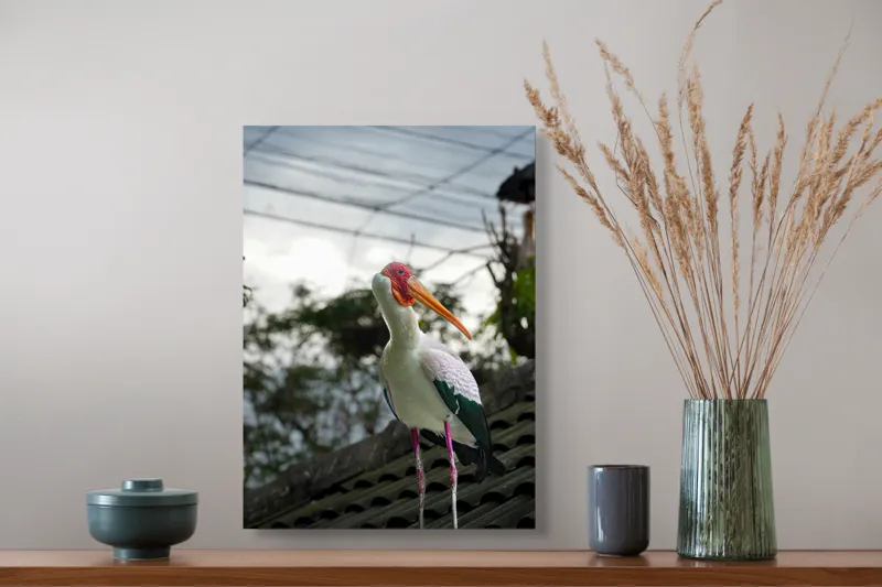Tablou Canvas, "Surprinderea unui stork sub cer înnorat", Păsăre, Penaj, Culori, Cer, Natură, Acoperiș, Plante, Storc, Peisaj, 39 x 54 cm – poza 3
