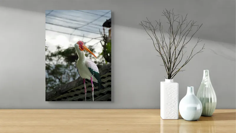 Tablou Canvas, "Surprinderea unui stork sub cer înnorat", Păsăre, Penaj, Culori, Cer, Natură, Acoperiș, Plante, Storc, Peisaj, 39 x 54 cm – poza 4