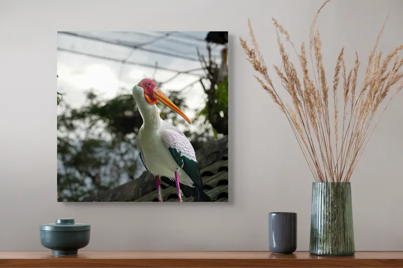 Tablou Canvas, "Surprinderea unui stork sub cer înnorat", Păsăre, Penaj, Culori, Cer, Natură, Acoperiș, Plante, Storc, Peisaj, 50 x 50 cm – poza 4