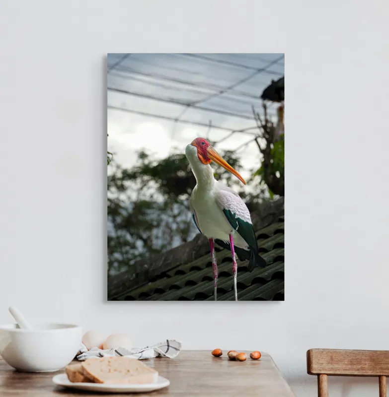 Tablou Canvas, "Surprinderea unui stork sub cer înnorat", Păsăre, Penaj, Culori, Cer, Natură, Acoperiș, Plante, Storc, Peisaj, 50 x 70 cm – poza 3