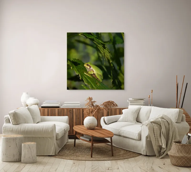 Tablou Canvas, "Brotăcel pe frunză la soare", Verde, Broască, Frunze, Natură, Umbre, Mică, Relaxează, Plante, Organic, Furtivo., 100 x 100 cm – poza 3