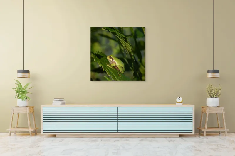 Tablou Canvas, "Brotăcel pe frunză la soare", Verde, Broască, Frunze, Natură, Umbre, Mică, Relaxează, Plante, Organic, Furtivo., 100 x 100 cm – poza 5