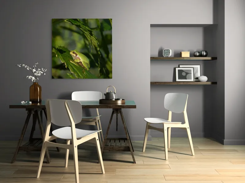 Tablou Canvas, "Brotăcel pe frunză la soare", Verde, Broască, Frunze, Natură, Umbre, Mică, Relaxează, Plante, Organic, Furtivo., 100 x 100 cm – poza 6