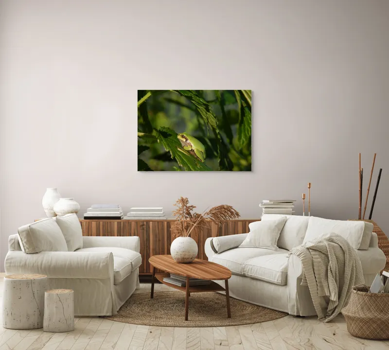 Tablou Canvas, "Brotăcel pe frunză la soare", Verde, Broască, Frunze, Natură, Umbre, Mică, Relaxează, Plante, Organic, Furtivo., 100 x 70 cm – poza 3