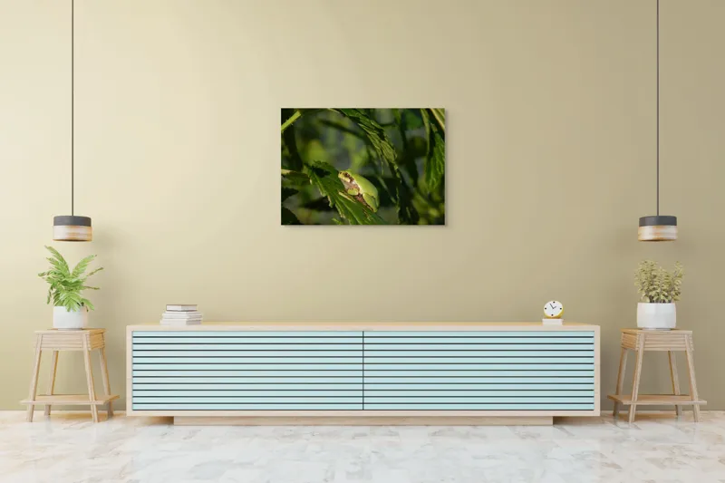 Tablou Canvas, "Brotăcel pe frunză la soare", Verde, Broască, Frunze, Natură, Umbre, Mică, Relaxează, Plante, Organic, Furtivo., 100 x 70 cm – poza 4