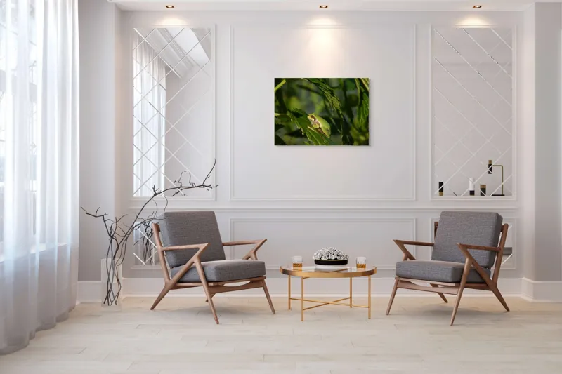 Tablou Canvas, "Brotăcel pe frunză la soare", Verde, Broască, Frunze, Natură, Umbre, Mică, Relaxează, Plante, Organic, Furtivo., 100 x 70 cm – poza 5